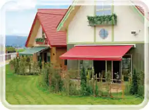 豊富なキャンパスカラー