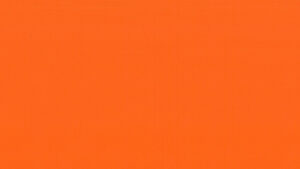 ニューパスティ_8892FP_オレンジカラーイメージ